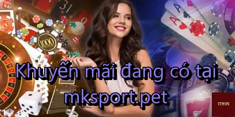 Các loại khuyến mãi đang có tại MK sports pet